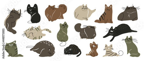 Photography Cute cat doodle vector set