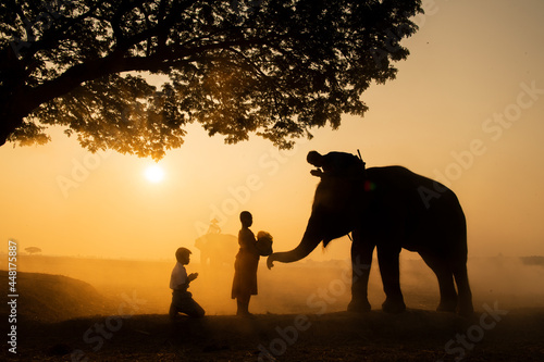 Shadows of Thai elephants, monks and men standing beautifully. Along with the morning sun, it looks warm.