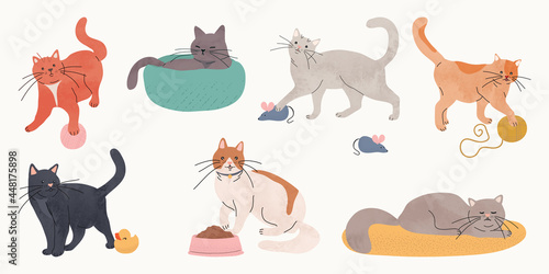 Cute cat watercolor doodle vector set. Cartoon cats or kitten characters design collection with flat color in different poses. Set of purebred pet animals isolated on white background.