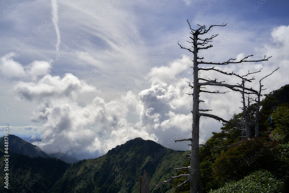 Obraz premium 夏山の登山で撮影した四国山地の石鎚山