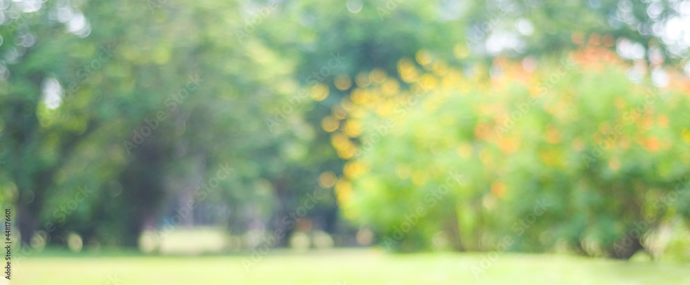 Blurred garden in spring nature outdoor background, Blur green tree park in  summer background, banner, Defocus spring foliage countryside with abstrct  bokeh light wallpaper, poster Stock Photo | Adobe Stock