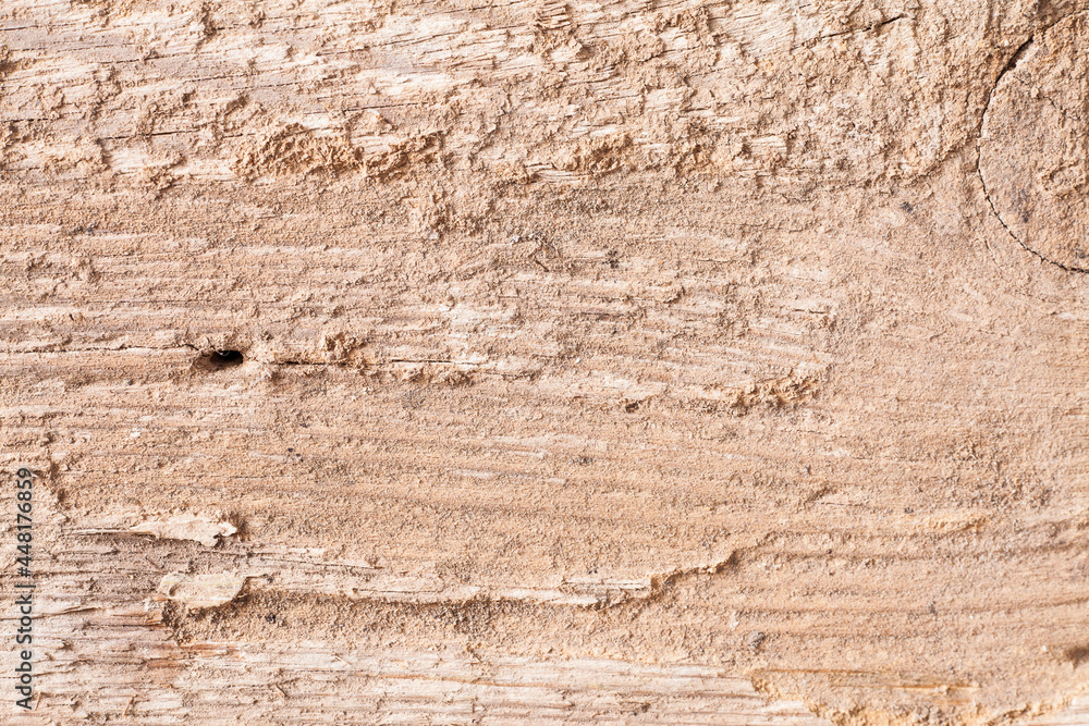 Background texture old wooden board. Background texture old wooden board.