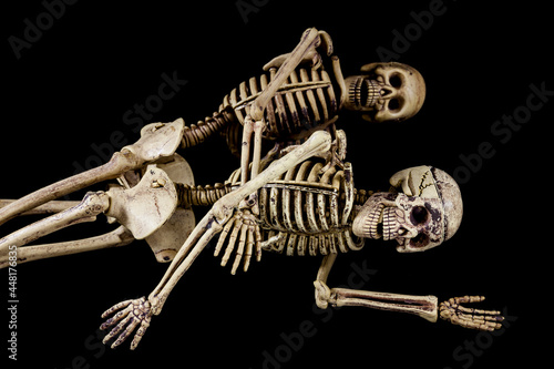 Halloween sex,Skeletons having sex on black background.