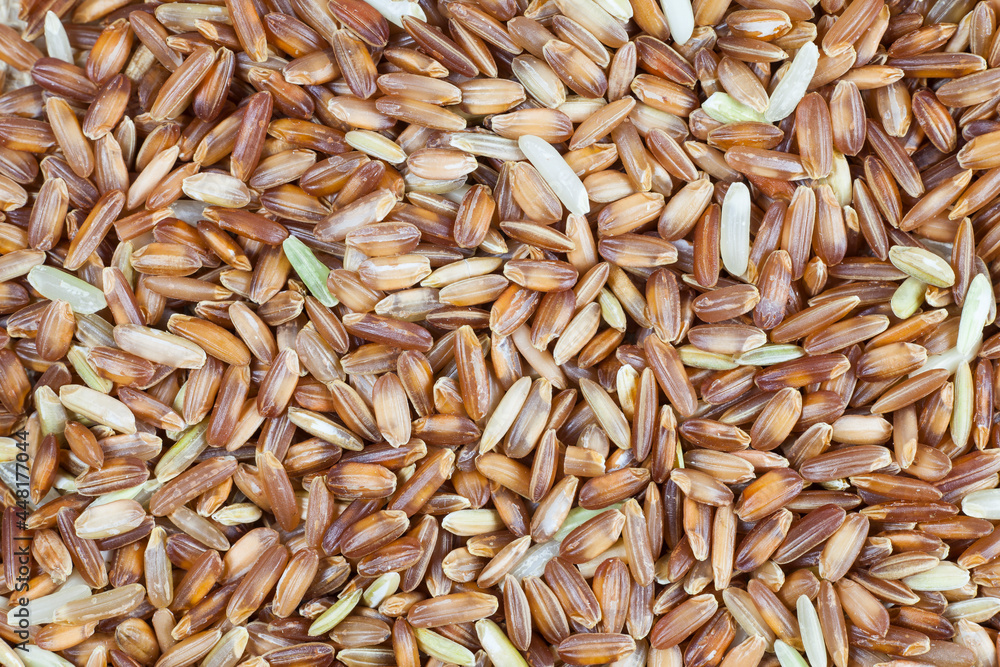 Brown rice berries background.