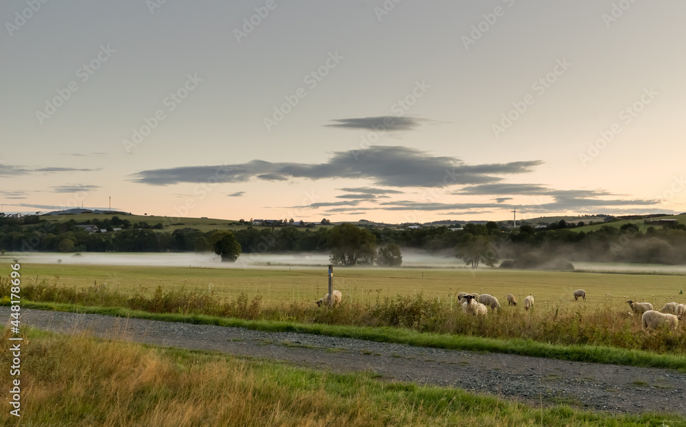 Landscape from the area called Struth near the german city Hallenberg at morning