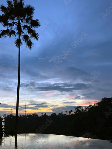 Infinity pool in the jungle of Ubud in Bali, Indonesia photo