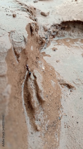 footprints on the sand