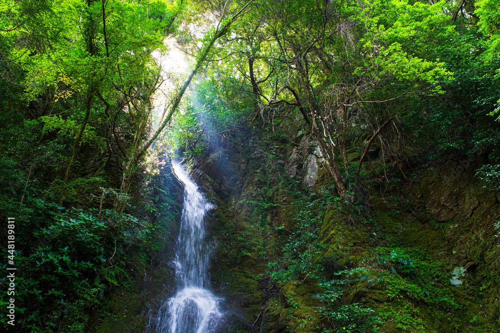 Landscape with a waterfall with light