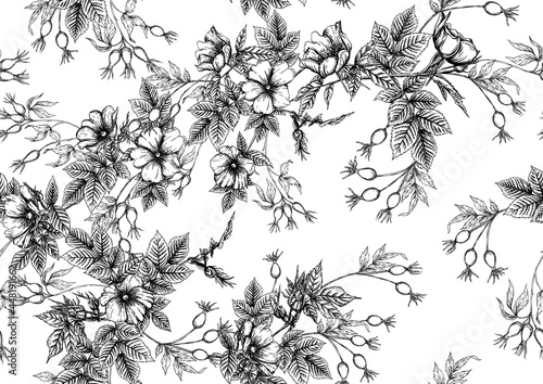 Rose hips with flowers and berries seamless pattern. Graphic drawing, engraving style. Vector illustration in black color on white background