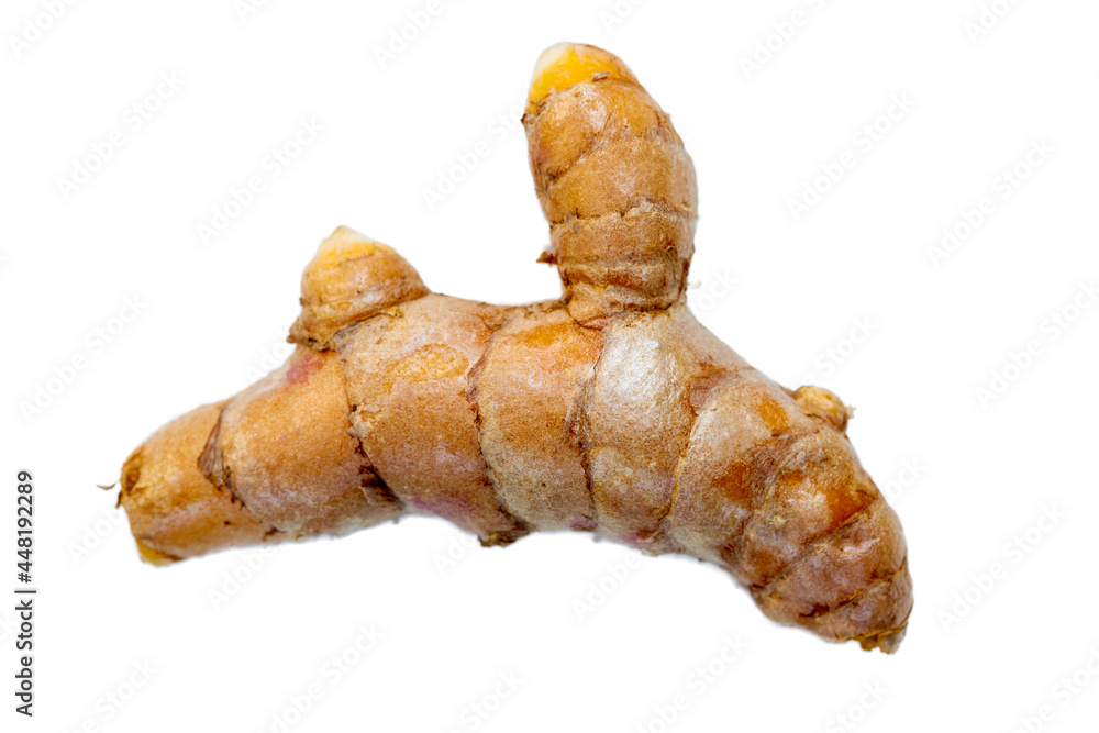 Close up of fresh turmeric (curcuma longa) roots Close up of fresh turmeric (curcuma longa) roots