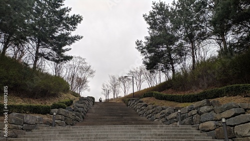 steps in the park