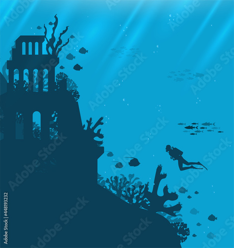 Underwater background with various sea views. Underwater scene. Cute sea fishes ocean underwater animals. Undersea bottom with corals seaweeds 