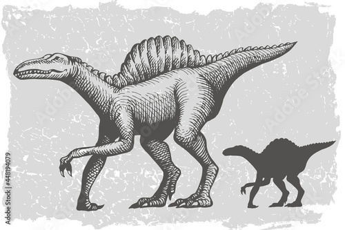 Dinosaur spinosaurus grafic hand drawn and silhouette illustration