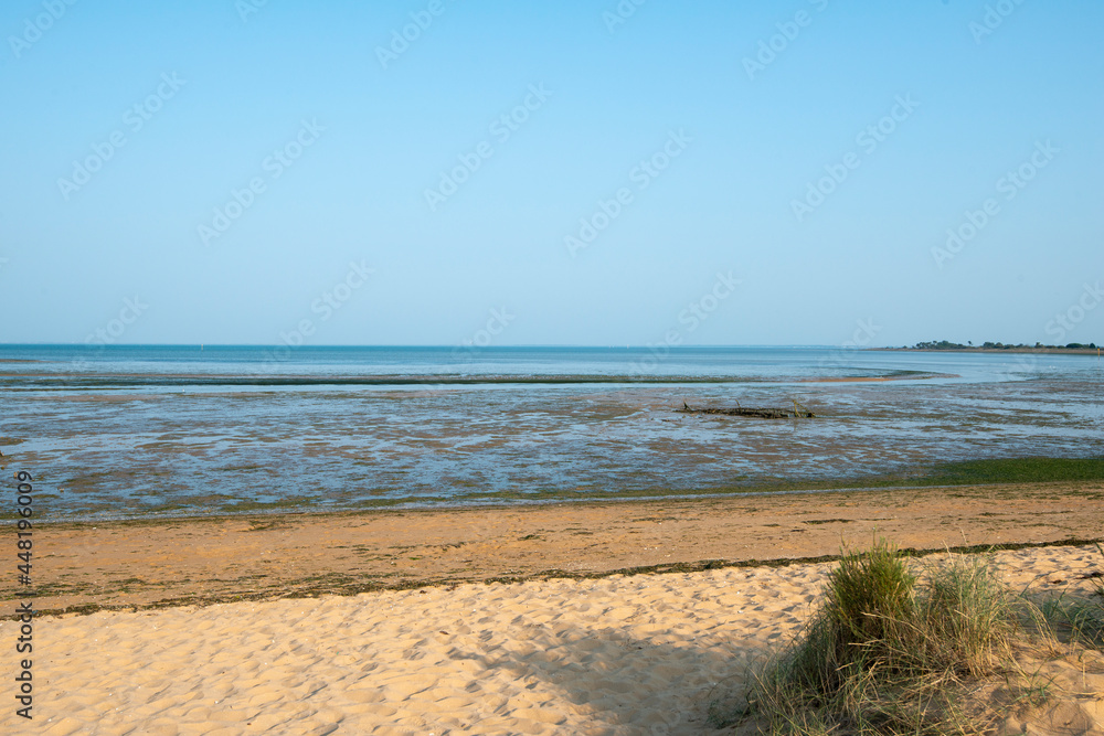 Réserve naturelle maritime, Moêze Oléron, Ile d'Oléron, Charentes Maritimes, 17