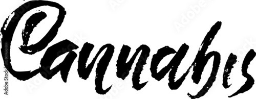 Cannabis. Modern brush grunge lettering. Vector illustration.