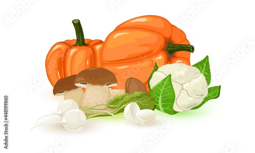 Collection of organic farm food, vegetarian food. Vector raw pumpkin, boletus edulis mushroom and daikon radish. Clean eating, uncooked products, vegan design. Isolated on white background