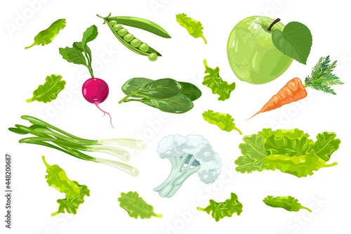 Cartoon set of summer farm harvest, organic veggies. Vector apple, carrot, bean, radish, lettuce, spring onion, spinach, cauliflower. Idea of greenery, healthcare vegetarianism isolated on white