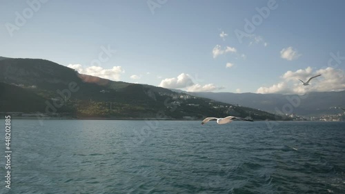 Shot of flying seagulls over the sea and view of sea , beach nature.