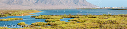 Extra wide panorama of 