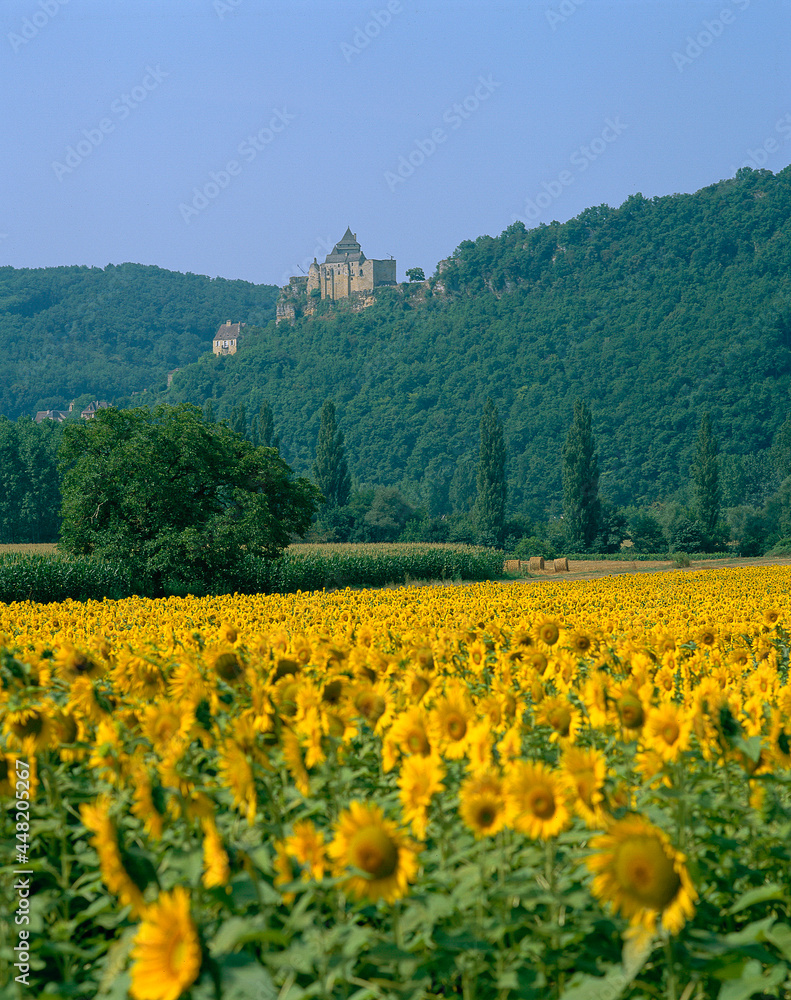 Dordogne ,France