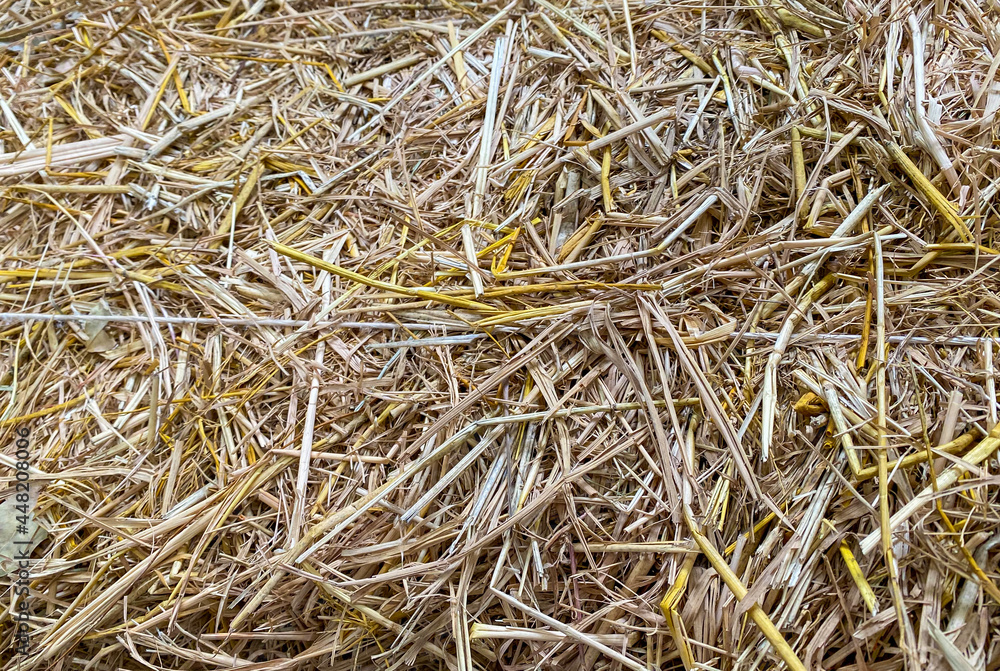 close up image of haystack at agriculture farm , farming symbol of harvest , close up image of haystack at agriculture farm , farming symbol of harvest ,