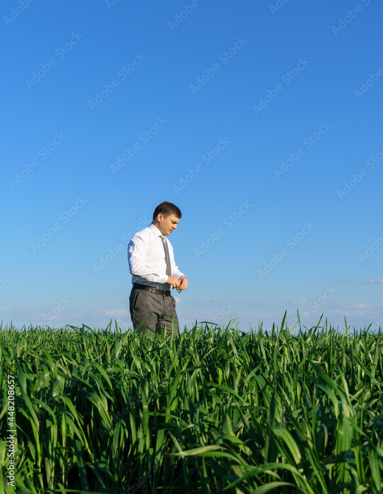 businessman poses in a field, he looks into the distance, green grass and blue sky as background