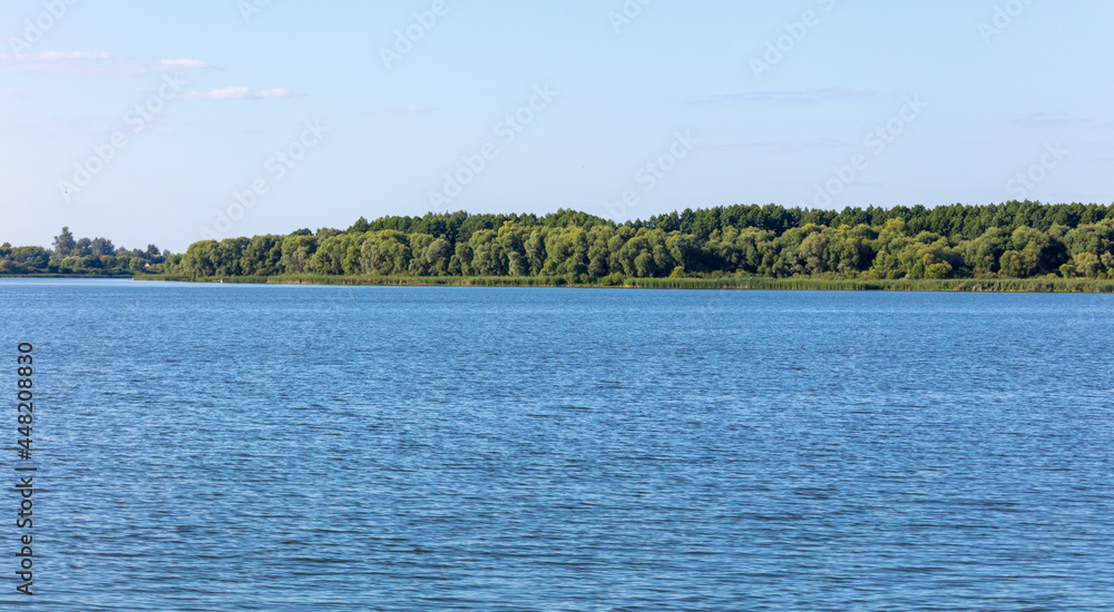 Green forest of trees by the lake