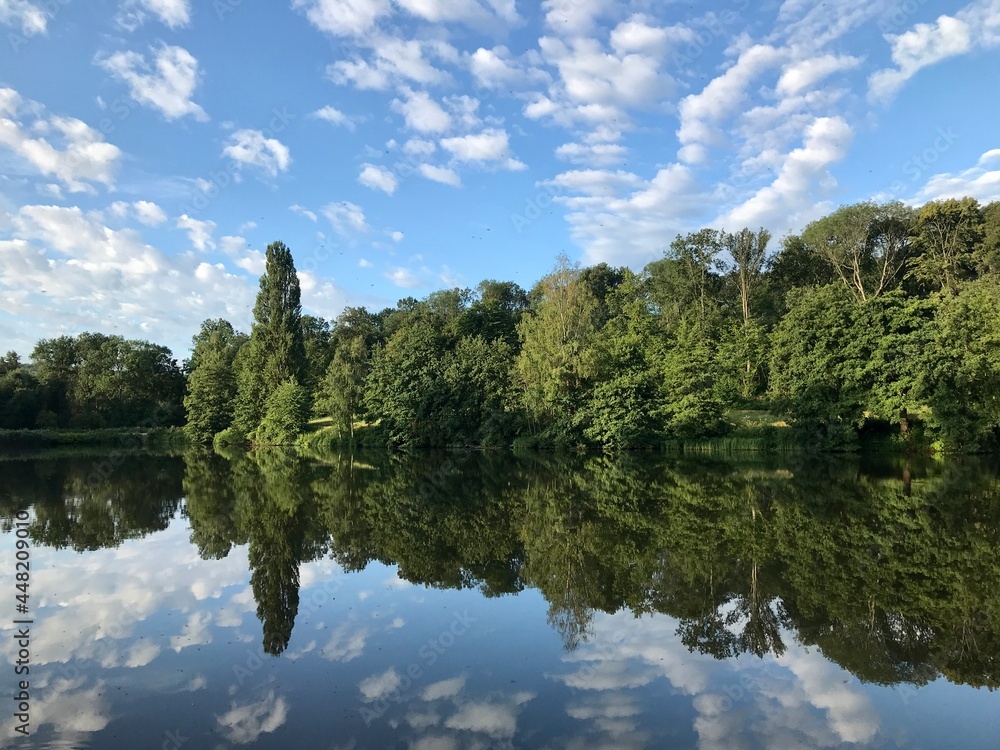 Forest and Lake scene