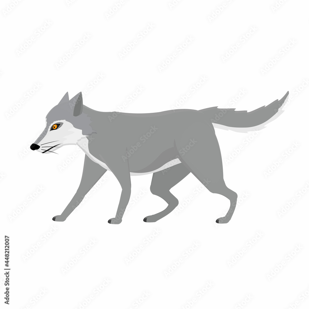 Wolf. Animal wolf, vector illustration