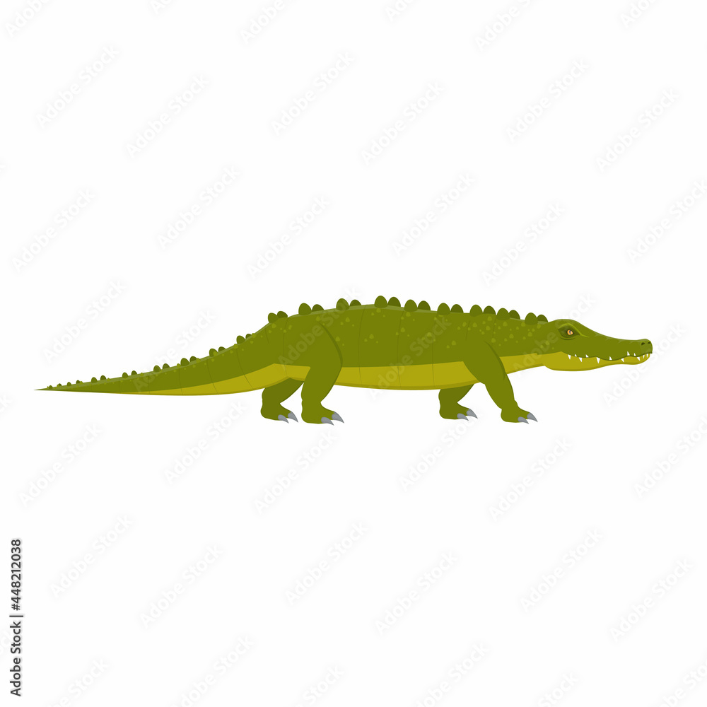 Crocodile. Crocodile animal, vector illustration Crocodile. Crocodile animal, vector illustration