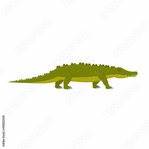 Crocodile. Crocodile animal, vector illustration © Denis Lytiagin
