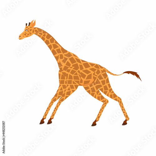 Giraffe. Animal giraffe  vector illustration