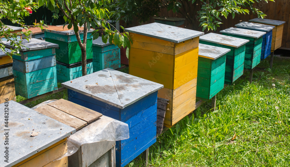 Wooden beehives in the apiary. Wooden beehives in the apiary.