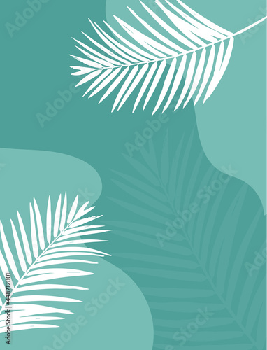 Banner template palm leaf . Card 