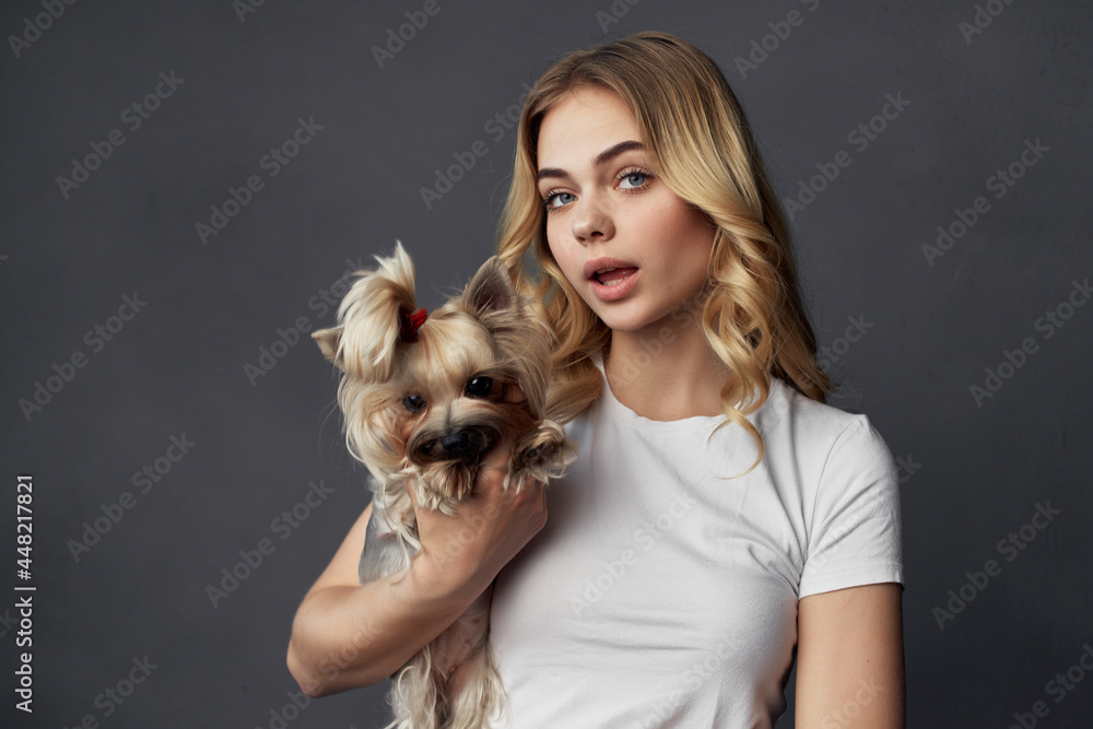 woman with small purebred dog fun friendship studio woman with small purebred dog fun friendship studio