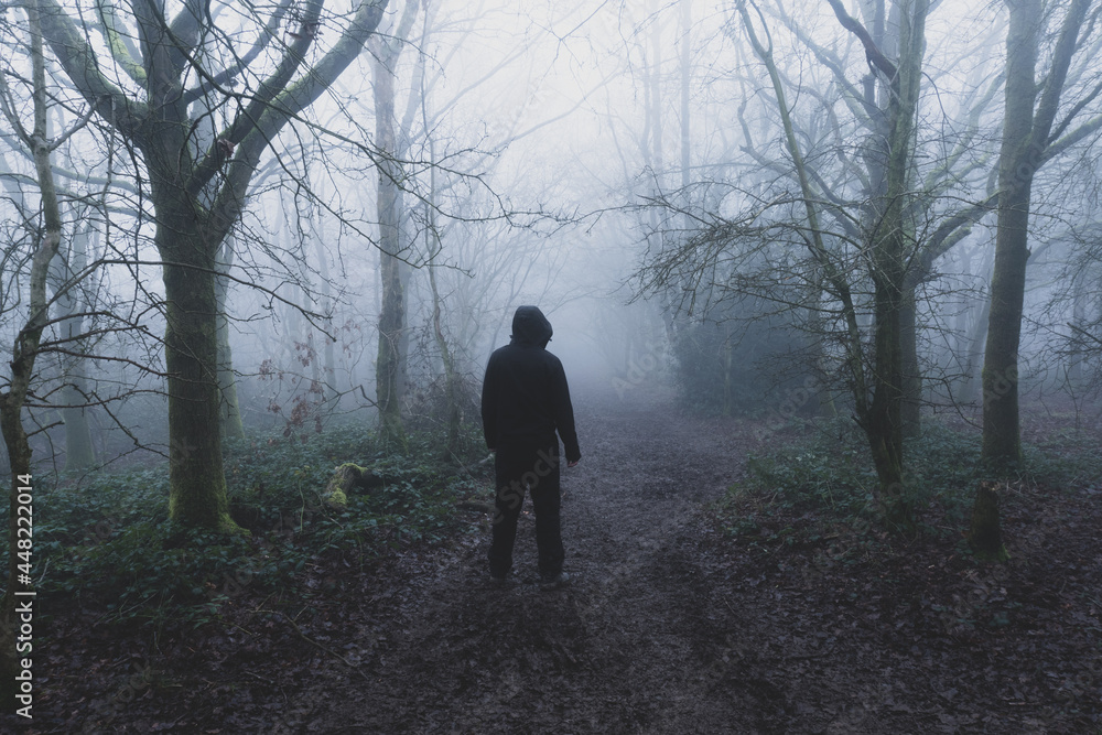 A hooded figure, back to camera, on a woodland path. On a foggy, spooky, winters day.