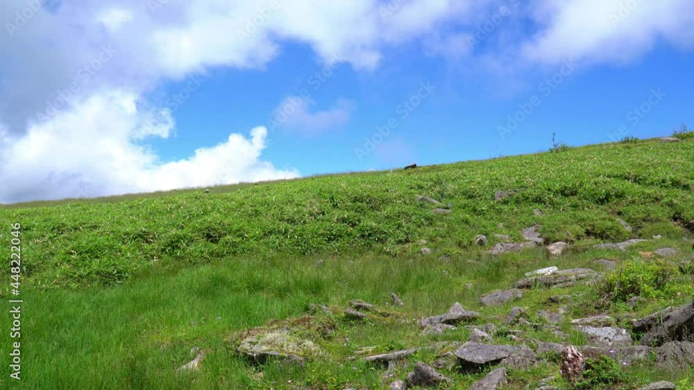 夏の美ヶ原高原