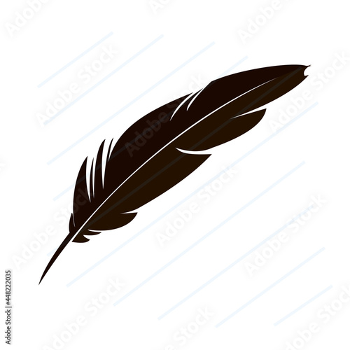illustration of feather