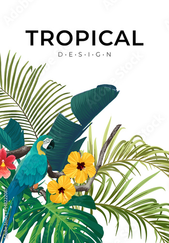 Summer tropical background ...