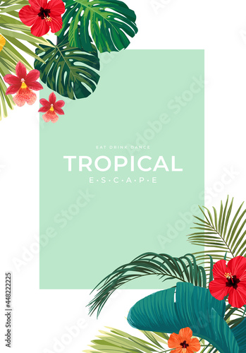 Summer tropical background ...