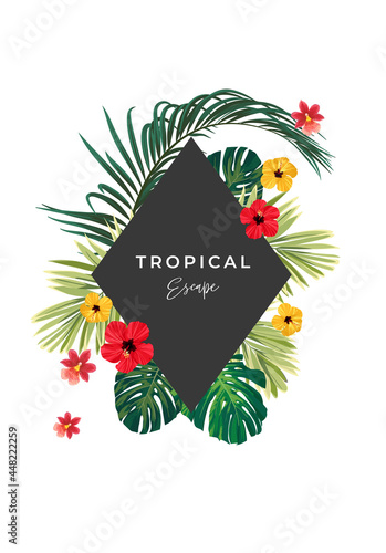 Summer tropical background ...