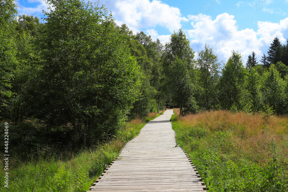 Wooden planks away in black moor, Rhoen mountains - Germany Wooden planks away in black moor, Rhoen mountains - Germany