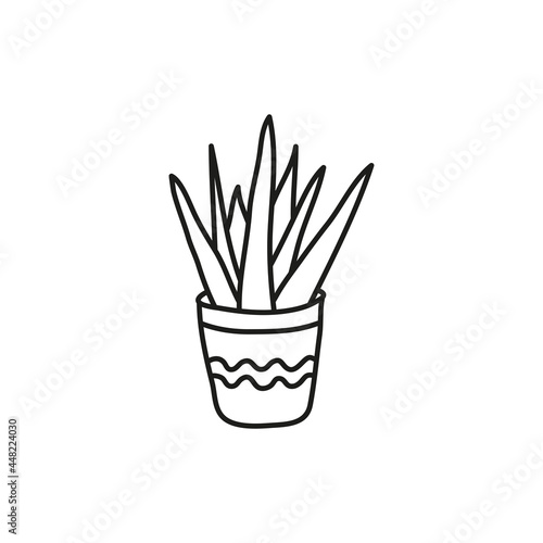 Doodle houseplant in pot.