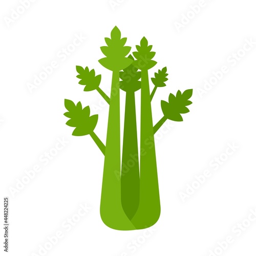 Natural celery icon flat isolated vector