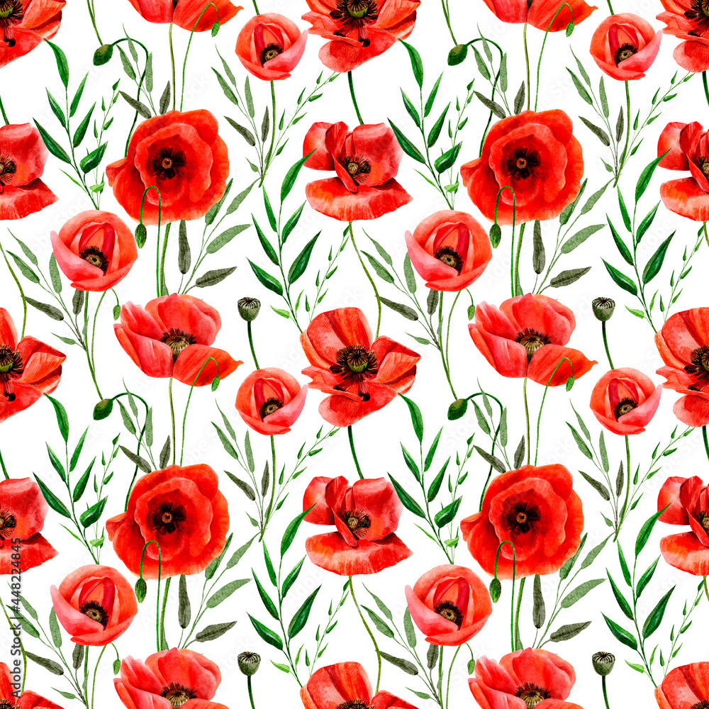Fototapeta premium seamless pattern with red poppies