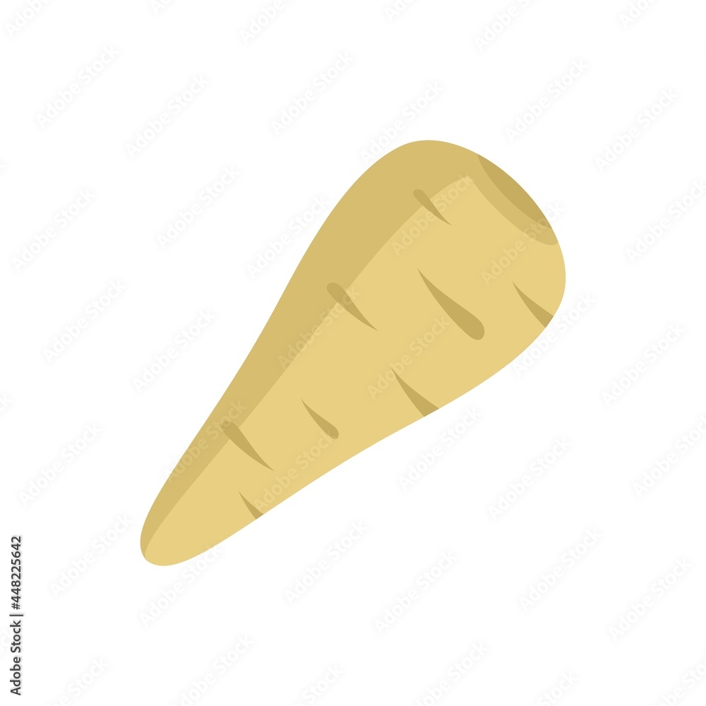Spice parsnip icon flat isolated vector Spice parsnip icon flat isolated vector
