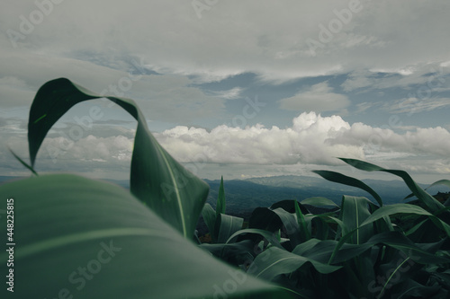 mountian of thailand forest and sky