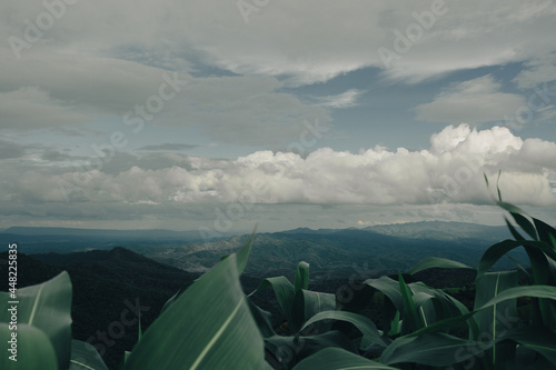 mountian of thailand forest and sky