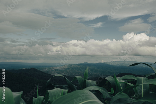 mountian of thailand forest and sky