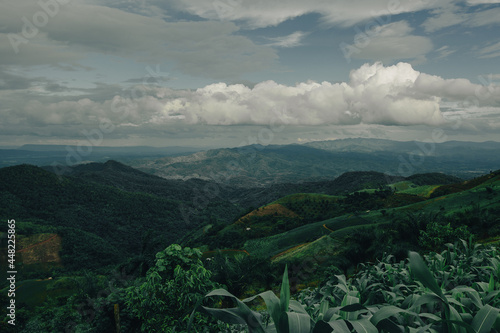 mountian of thailand forest and sky